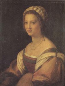 Andrea del Sarto Portrait of a Young Woman (san05)